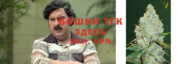 ГАЛЛЮЦИНОГЕННЫЕ ГРИБЫ Абдулино