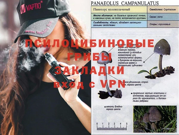 круглые Абаза