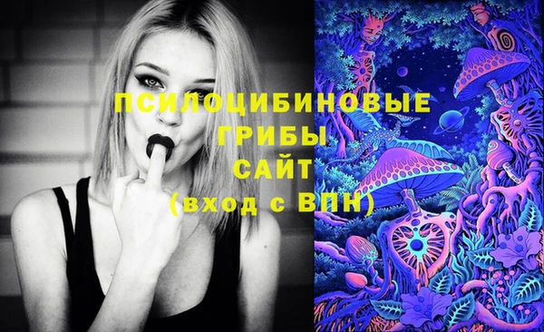 метадон Алексин